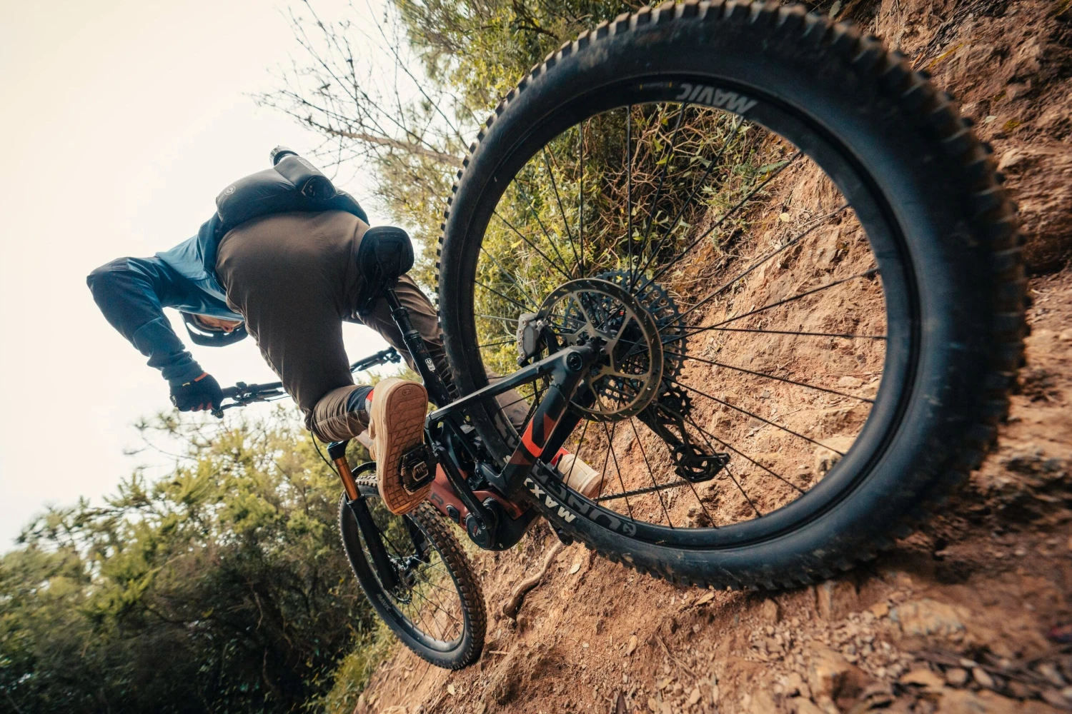 Die besten Mountainbike-Reifen für jedes Terrain -Jonas Fahrrad Geschaft DSC8933 e1729672561419